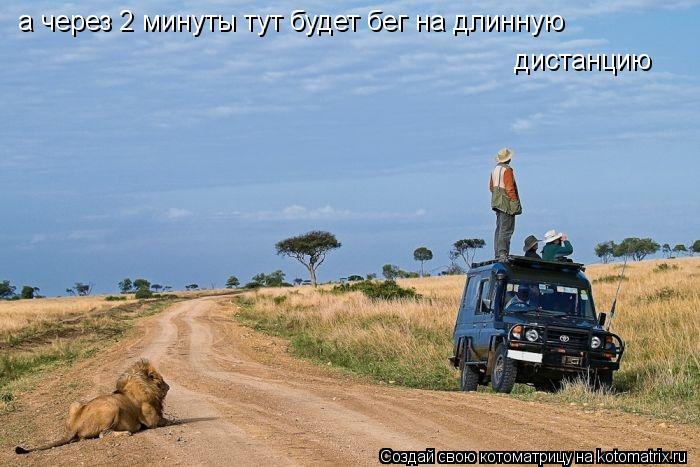 Котоматрица: а через 2 минуты тут будет бег на длинную дистанцию