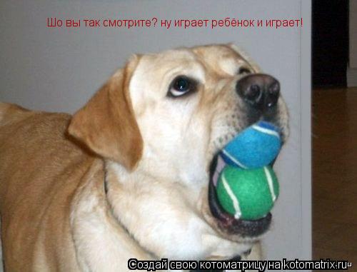 Котоматрица: Шо вы так смотрите? ну играет ребёнок и играет!