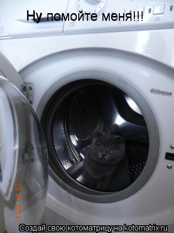 Котоматрица: Ну  Ну помойте меня Ну помойте меня!!!