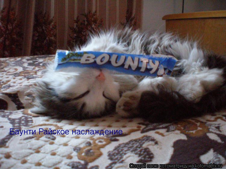 Котоматрица: Баунти.Райское наслаждение