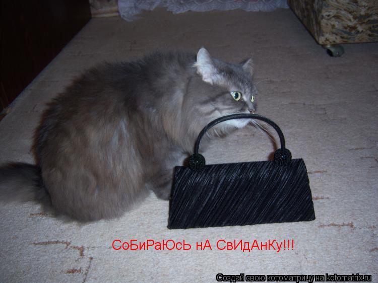Котоматрица: СоБиРаЮсЬ нА СвИдАнКу!!!