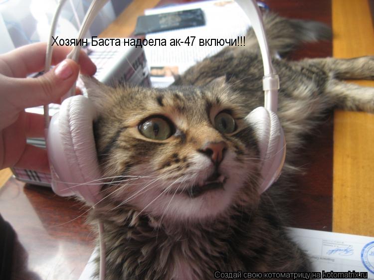 Котоматрица: Хозяин Баста надоела ак-47 включи!!!