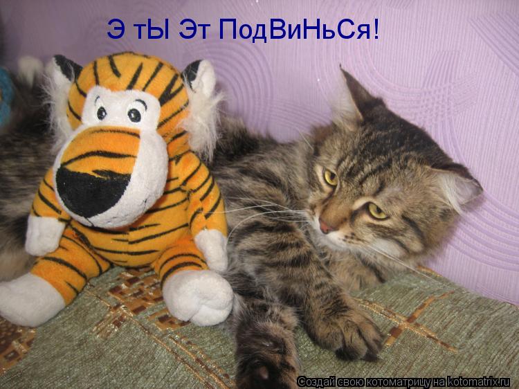 Котоматрица: Э тЫ Эт ПодВиНьСя!