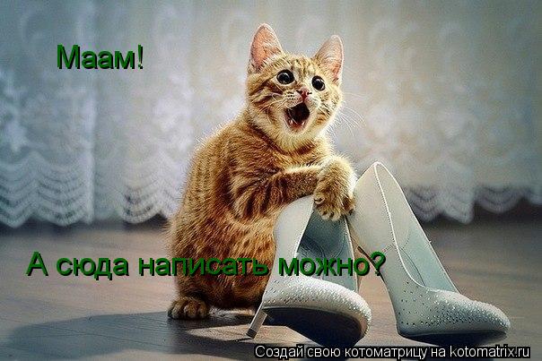 Котоматрица: Маам! А сюда написать можно?