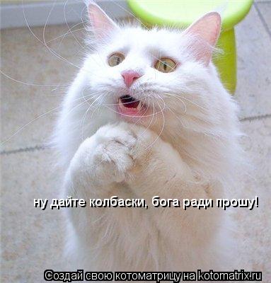 Котоматрица: ну дайте колбаски, бога ради прошу!