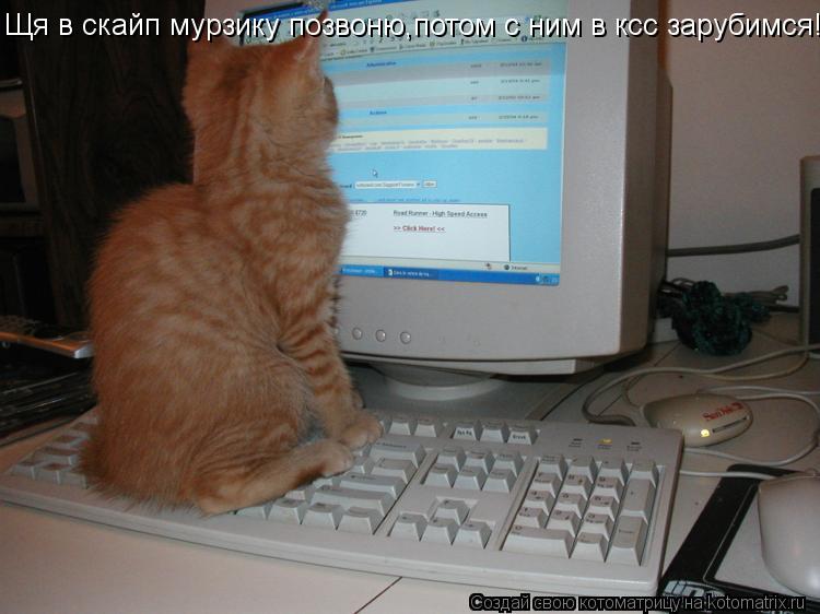 Котоматрица: Щя в скайп мурзику позвоню,потом с ним в ксс зарубимся!