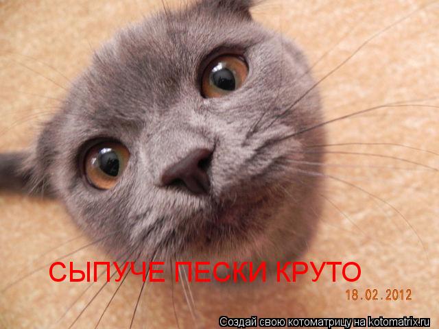 Котоматрица: СЫПУЧЕ ПЕСКИ КРУТО