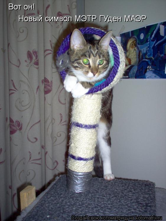 Котоматрица: Вот он! Новый символ МЭТР ГУден МАЭР