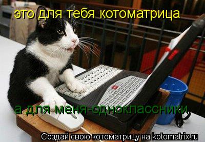 Котоматрица: это для тебя котоматрица а для меня-одноклассники
