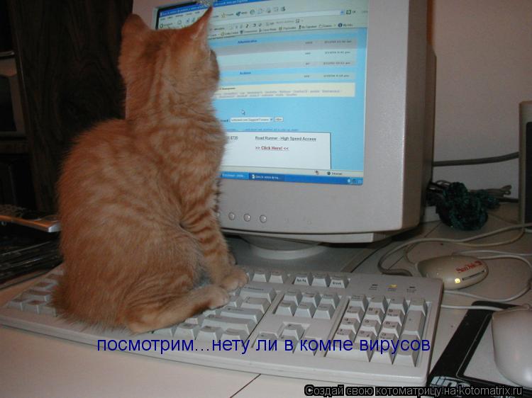Котоматрица: посмотрим...нету ли в компе вирусов