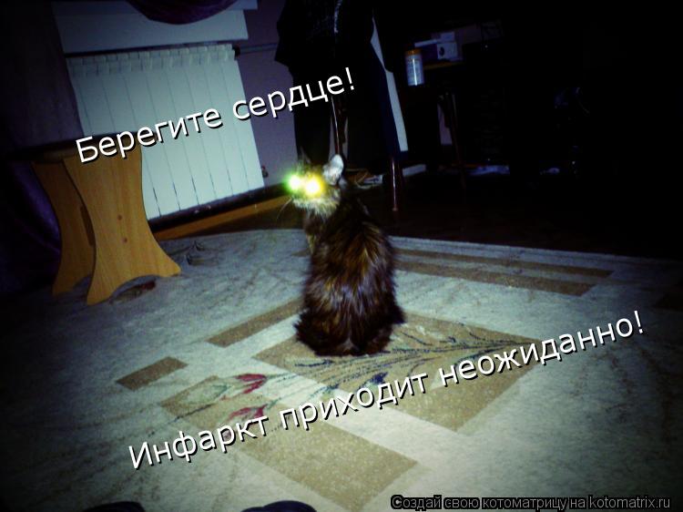 Котоматрица: Берегите сердце! Инфаркт приходит неожиданно!