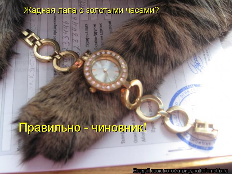 Котоматрица: Жадная лапа с золотыми часами? Правильно - чиновник!