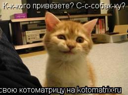 Котоматрица: К-к-кого привезете? С-с-собак-ку?