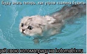 Буду знать теперь, как утром хозяина будить Буду знать теперь, как утром хозяина будить... Котоматрица: Буду знать теперь, как утром хозяина будить Буду знать теперь, как утром хозяина будить