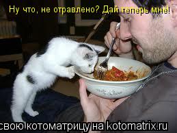 Ну что, не отравлено? Дай теперь мне!... Котоматрица: Ну что, не отравлено? Дай теперь мне!