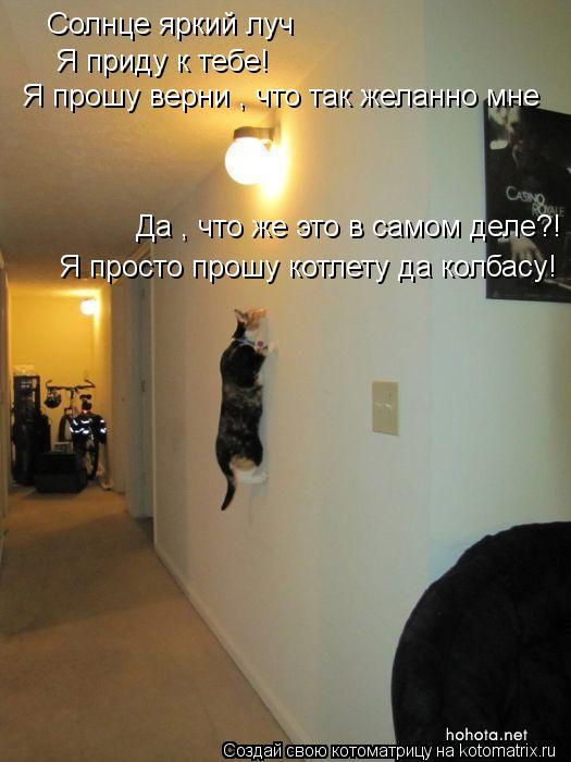 Солнце яркий луч Я приду к тебе! Я прошу верни , что так желанно мне Да , что же это в самом деле?! Я... Котоматрица: Солнце яркий луч Я приду к тебе! Я прошу верни , что так желанно мне Да , что же это в самом деле?! Я просто прошу котлету да колбасу!