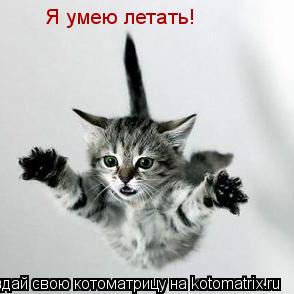 Котоматрица: Я умею летать!
