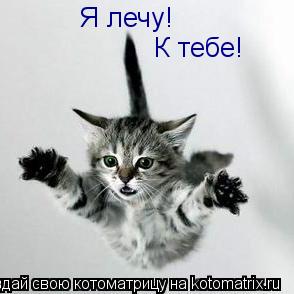 Я лечу! К тебе!... Котоматрица: Я лечу! К тебе!