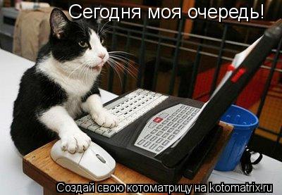 Сегодня моя очередь!... Котоматрица: Сегодня моя очередь!