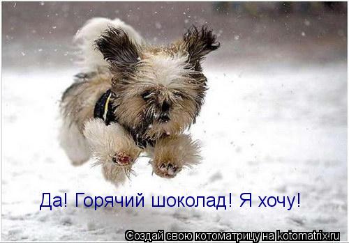 Да! Горячий шоколад! Я хочу!... Котоматрица: Да! Горячий шоколад! Я хочу!