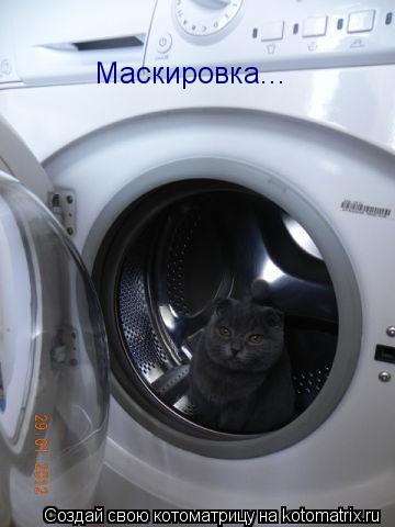 Котоматрица: Маскировка...