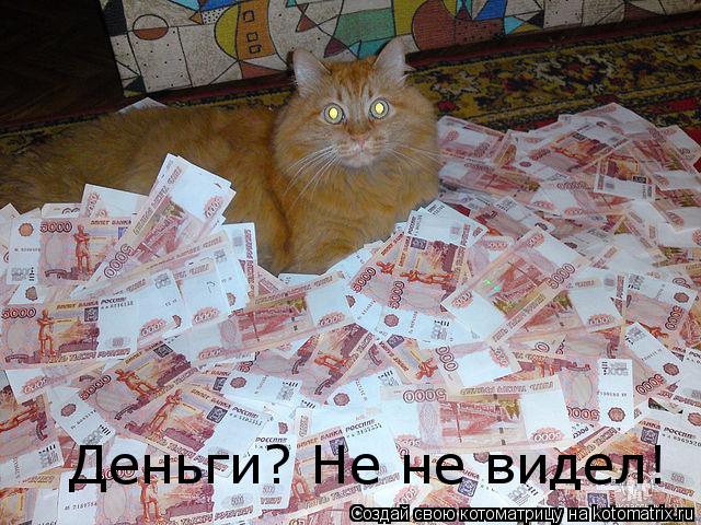 Деньги? Не не видел!... Котоматрица: Деньги? Не не видел!