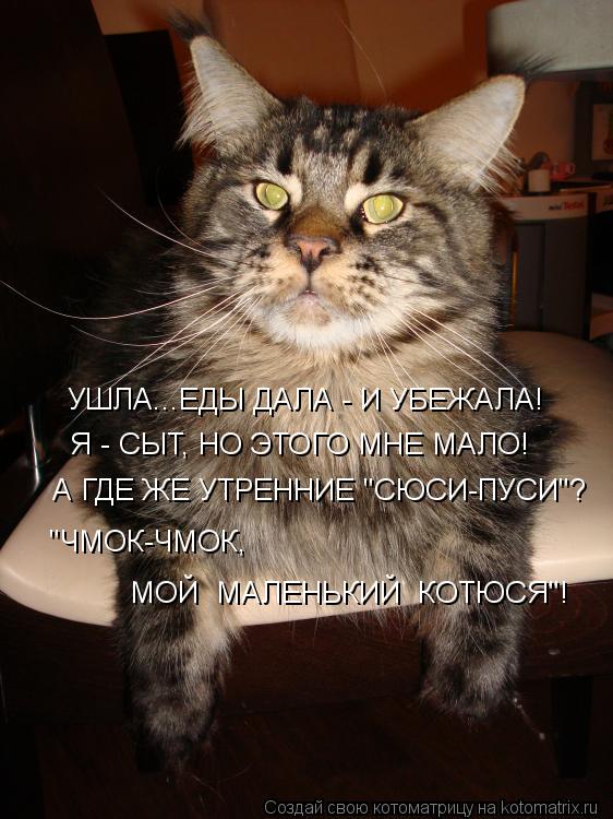Котоматрица: УШЛА...ЕДЫ ДАЛА - И УБЕЖАЛА! Я - СЫТ, НО ЭТОГО МНЕ МАЛО! А ГДЕ ЖЕ УТРЕННИЕ "СЮСИ-ПУСИ"? "ЧМОК-ЧМОК,  МОЙ  МАЛЕНЬКИЙ  КОТЮСЯ"!