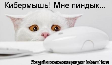 Котоматрица: Кибермышь! Мне пиндык...