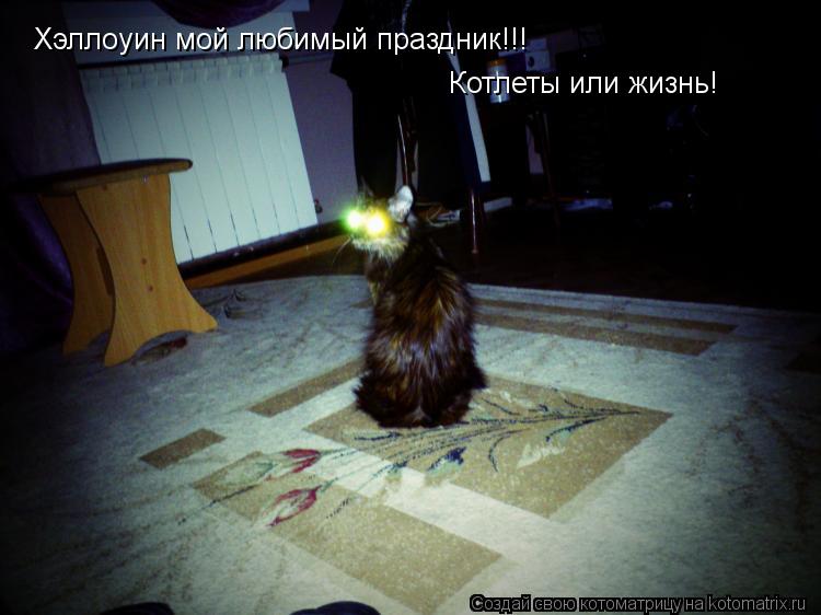 Котоматрица: Хэллоуин мой любимый праздник!!! Котлеты или жизнь!