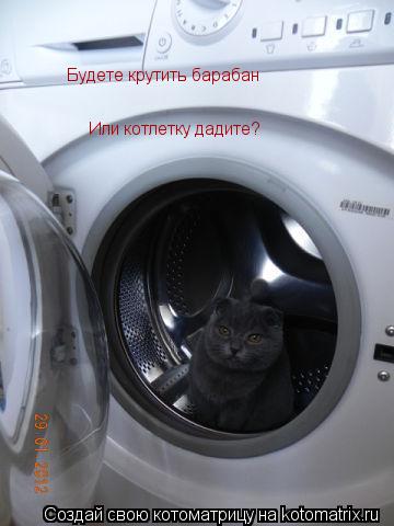Котоматрица: Будете крутить барабан  Или котлетку дадите?