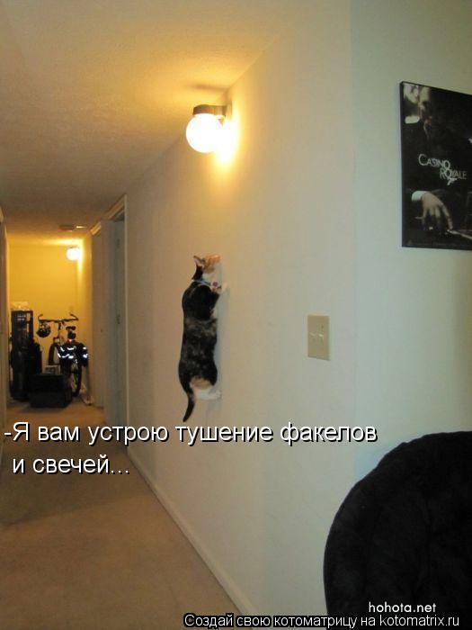 Котоматрица: и свечей... -Я вам устрою тушение факелов