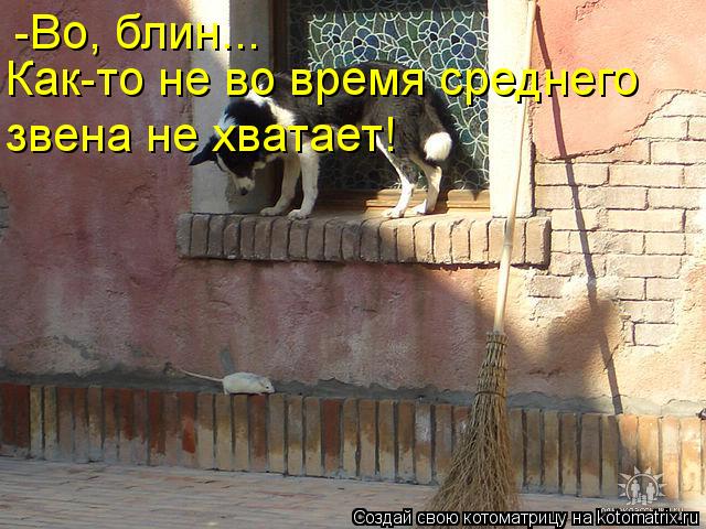 Котоматрица: -Во, блин... Как-то не во время среднего  звена не хватает!