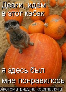 Котоматрица: я здесь был мне понравилось Девки, идём в этот кабак