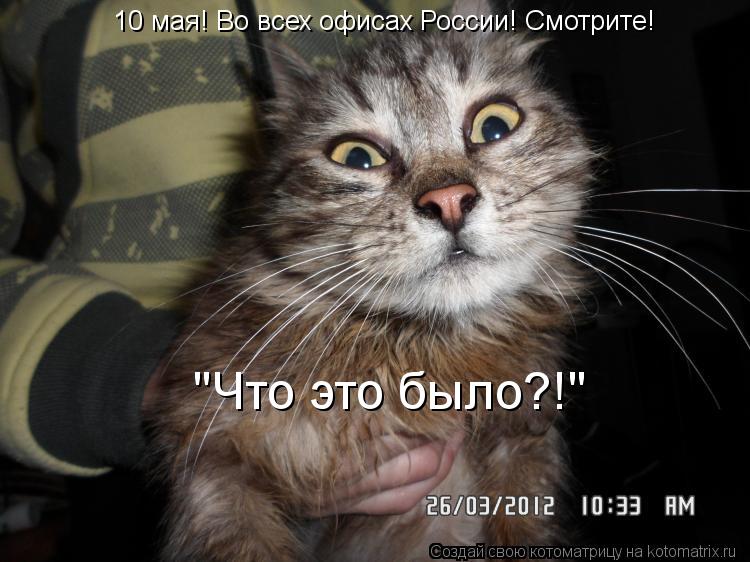 Котоматрица: 10 мая! Во всех офисах России! Смотрите!  "Что это было?!"