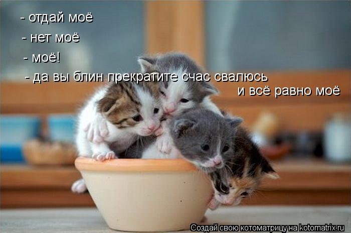 Котоматрица: - отдай моё - нет моё - моё! - да вы блин прекратите счас свалюсь и всё равно моё