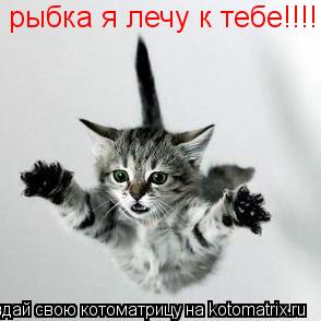 Котоматрица: рыбка я лечу к тебе!!!!!!