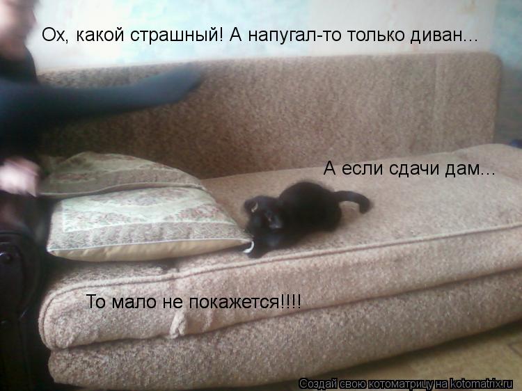 Котоматрица: Ох, какой страшный! А напугал-то только диван...  А если сдачи дам...  То мало не покажется!!!! То мало не покажется!!!!