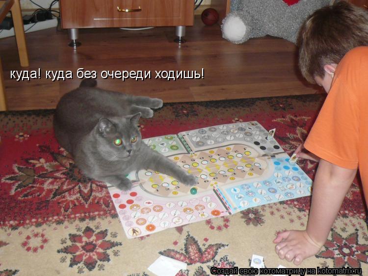 Котоматрица: куда! куда без очереди ходишь!