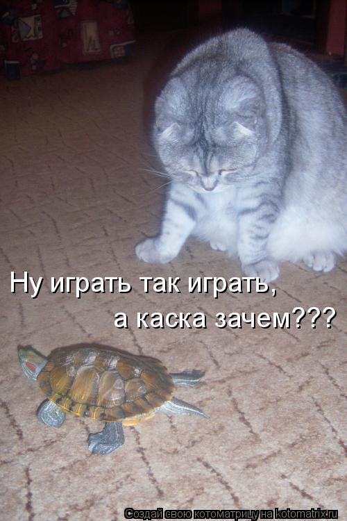 Котоматрица: Ну играть так играть, а каска зачем???