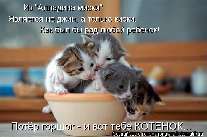 Котоматрица: Является не джин, а только киски... Как был бы рад любой ребенок! Потер горшок - и вот тебе КОТЕНОК... .. Из "Алладина миски"