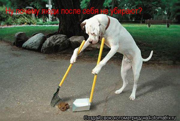 Котоматрица: Ну почему люди после себя не убирают?