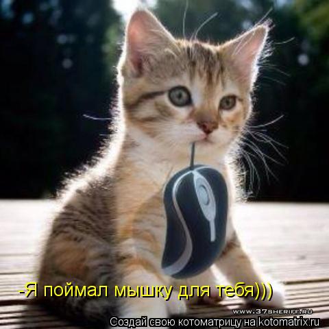 Котоматрица: -Я поймал мышку для тебя)))