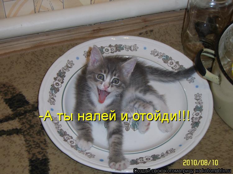 Котоматрица: -А ты налей и отойди!!!