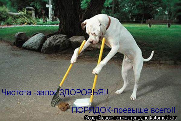 Котоматрица: Чистота -залог ЗДОРОВЬЯ!! ПОРЯДОК-превыше всего!!