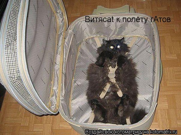 Котоматрица: Витяcat к полёту гАтов