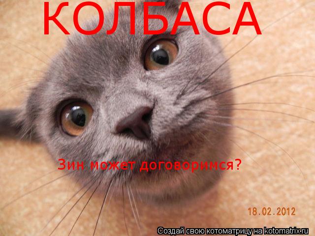 Котоматрица: КОЛБАСА Зин может договоримся?