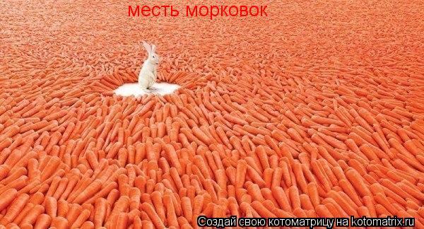 Котоматрица: месть морковок