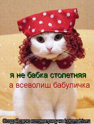Котоматрица: я не бабка столетняя а всеволиш бабуличка