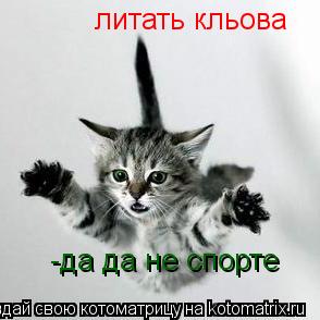 Котоматрица: литать кльова -да да не спорте