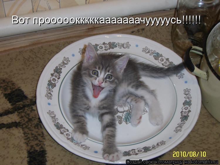 Котоматрица: Вот прооооокккккааааааачууууусь!!!!!!